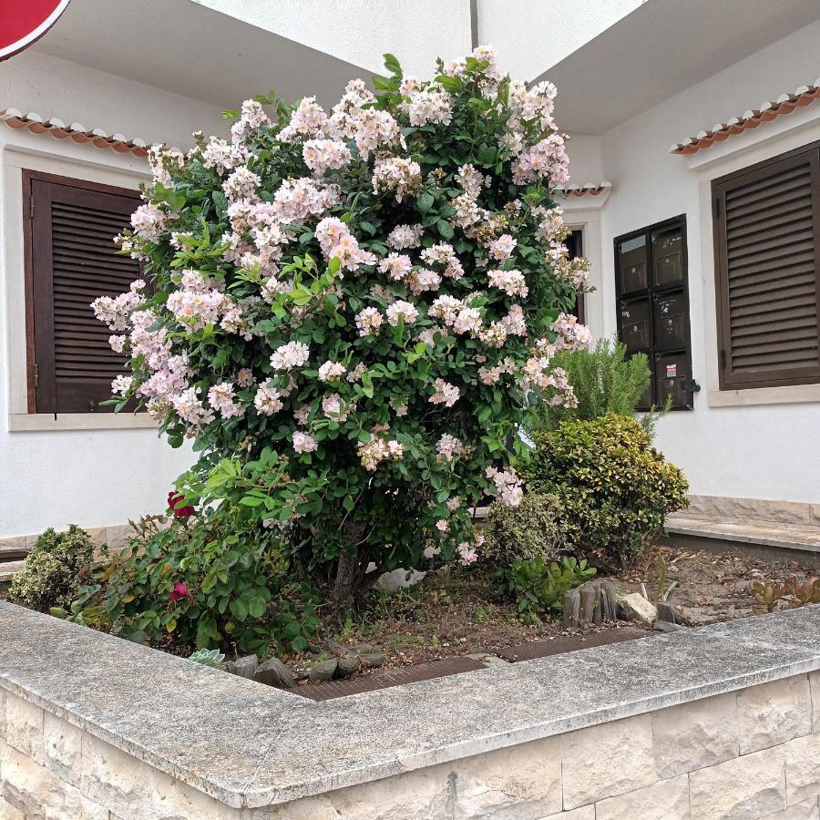 A Casa Na Foz ! West Is The Best ! Foz do Arelho Luaran gambar